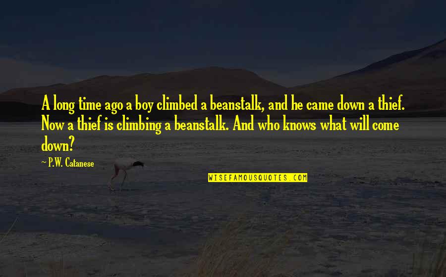 Best Time Will Come Quotes By P.W. Catanese: A long time ago a boy climbed a Best Time Will Come Quotes By P.W. Catanese: A long time ago a boy climbed a