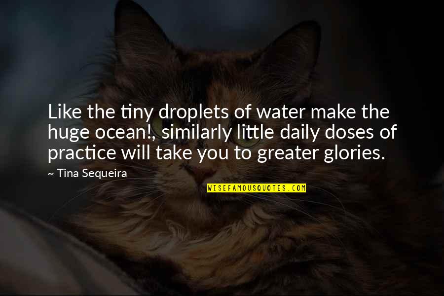 Best Tiny Tina Quotes By Tina Sequeira: Like the tiny droplets of water make the