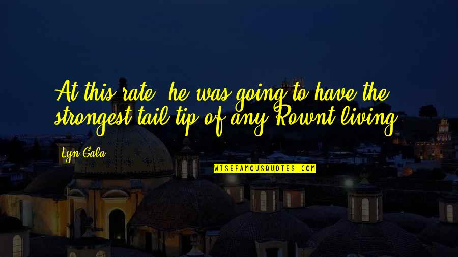 Best Tip Quotes By Lyn Gala: At this rate, he was going to have