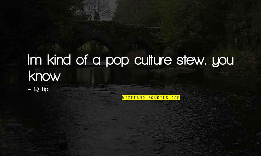 Best Tip Quotes By Q-Tip: I'm kind of a pop culture stew, you