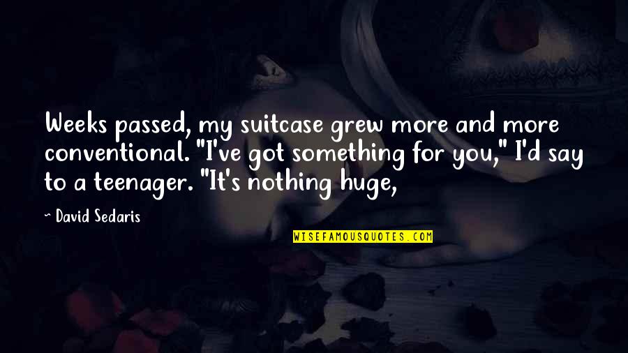 Best To Say Nothing At All Quotes By David Sedaris: Weeks passed, my suitcase grew more and more