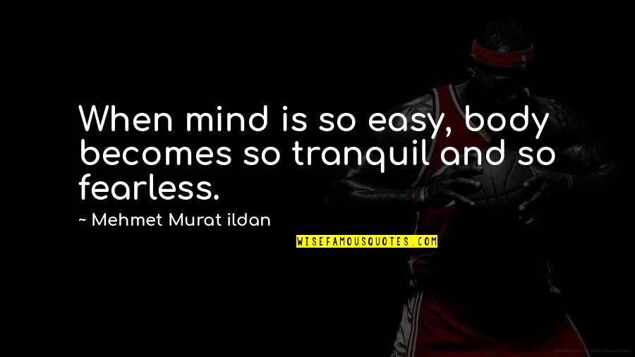 Best Tranquil Quotes By Mehmet Murat Ildan: When mind is so easy, body becomes so