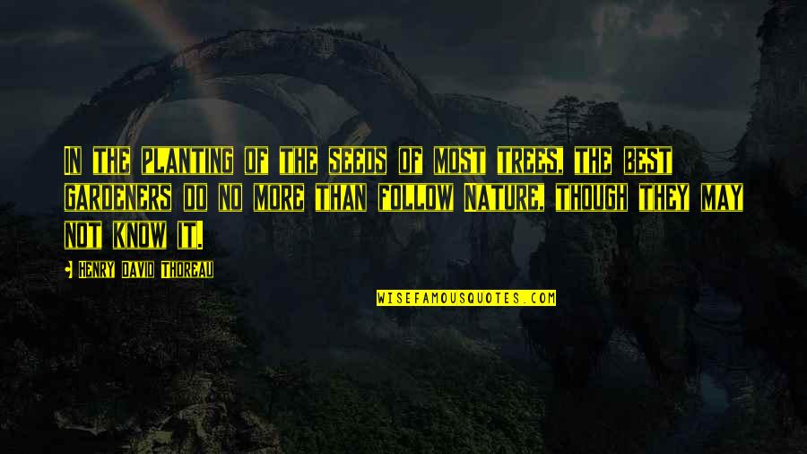 Best Tree Planting Quotes By Henry David Thoreau: In the planting of the seeds of most Best Tree Planting Quotes By Henry David Thoreau: In the planting of the seeds of most
