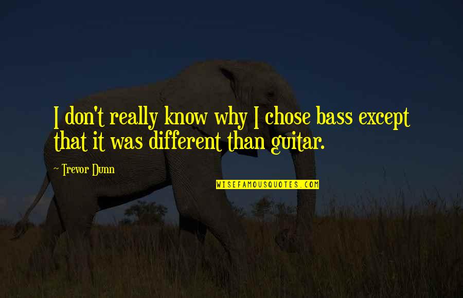 Best Trevor Quotes By Trevor Dunn: I don't really know why I chose bass