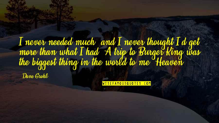 Best Trip Ever Quotes By Dave Grohl: I never needed much, and I never thought