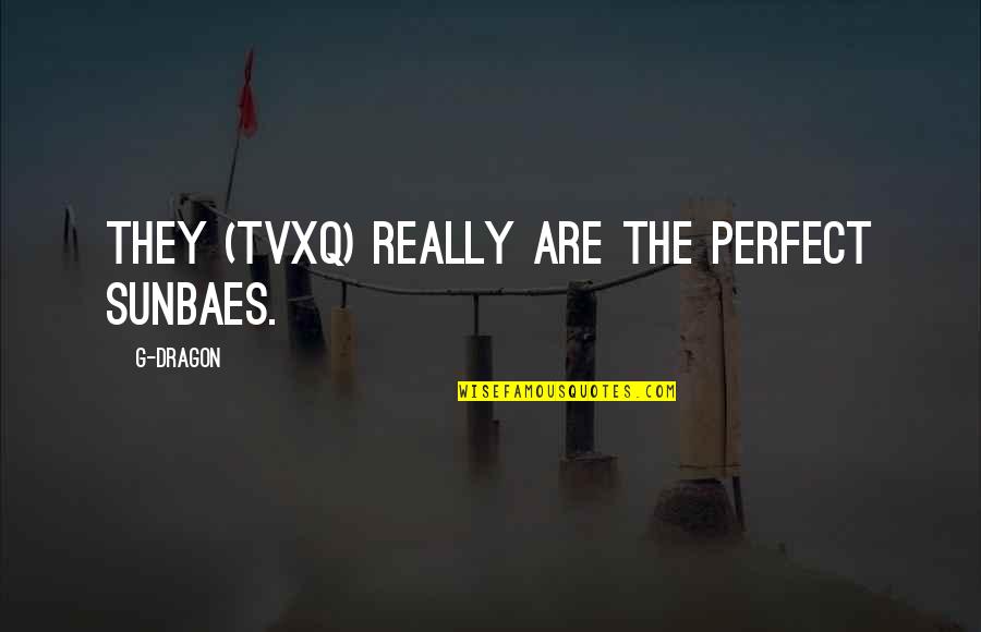 Best Tvxq Quotes By G-Dragon: They (TVXQ) really are the perfect sunbaes.