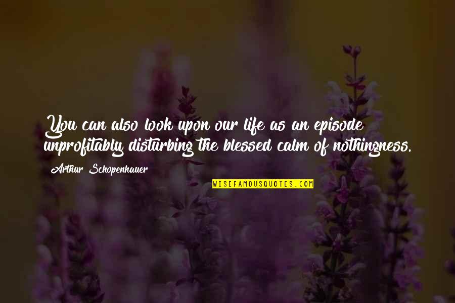 Best Twitter Daily Quotes By Arthur Schopenhauer: You can also look upon our life as