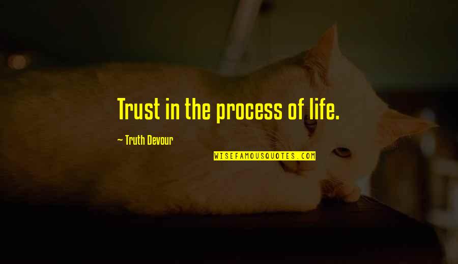 Best Underdog Sports Quotes By Truth Devour: Trust in the process of life.