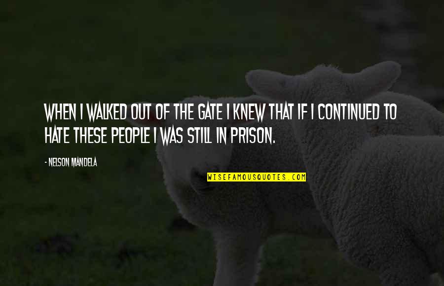 Best Unus Annus Quotes By Nelson Mandela: When I walked out of the gate I