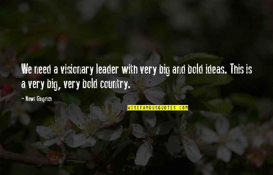 Best Visionary Quotes By Newt Gingrich: We need a visionary leader with very big