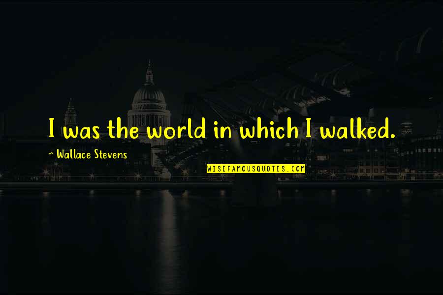Best Vw Quotes By Wallace Stevens: I was the world in which I walked.