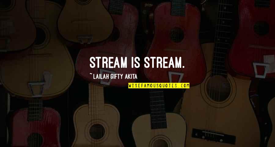 Best Water Conservation Quotes By Lailah Gifty Akita: Stream is stream.