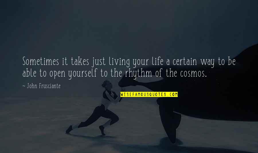 Best Way To Live Your Life Quotes By John Frusciante: Sometimes it takes just living your life a