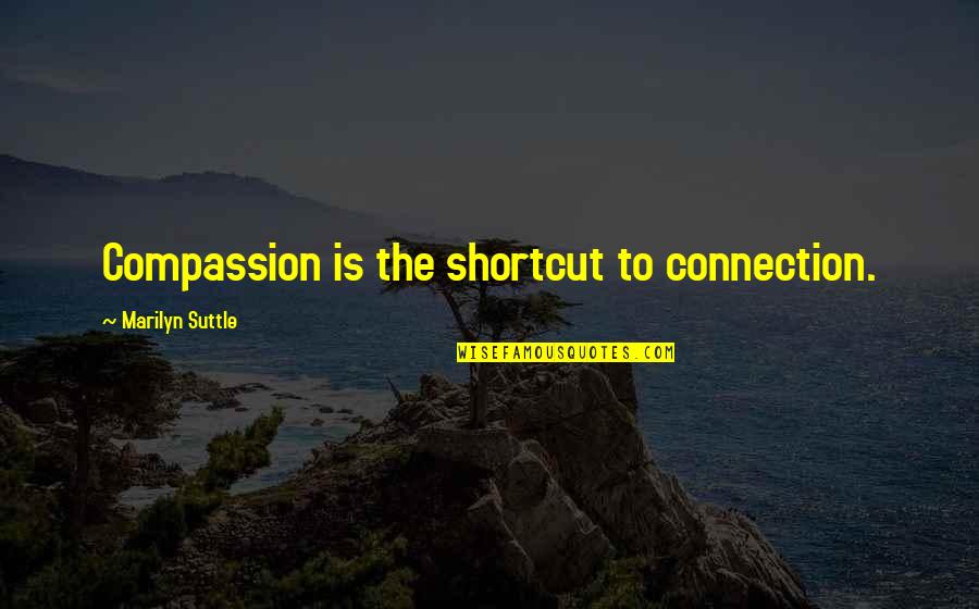 Best Website For Love Quotes By Marilyn Suttle: Compassion is the shortcut to connection.