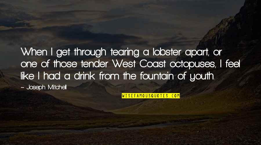 Best West Coast Quotes By Joseph Mitchell: When I get through tearing a lobster apart,