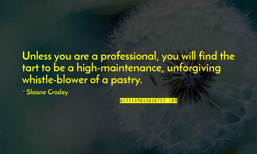 Best Whistle Quotes By Sloane Crosley: Unless you are a professional, you will find