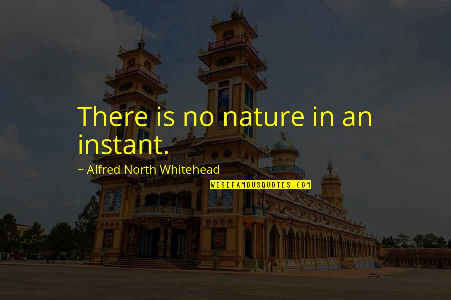 Best Whitehead Quotes By Alfred North Whitehead: There is no nature in an instant. Best Whitehead Quotes By Alfred North Whitehead: There is no nature in an instant.