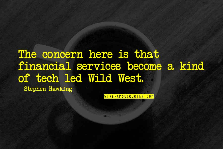 Best Wild West Quotes By Stephen Hawking: The concern here is that financial services become