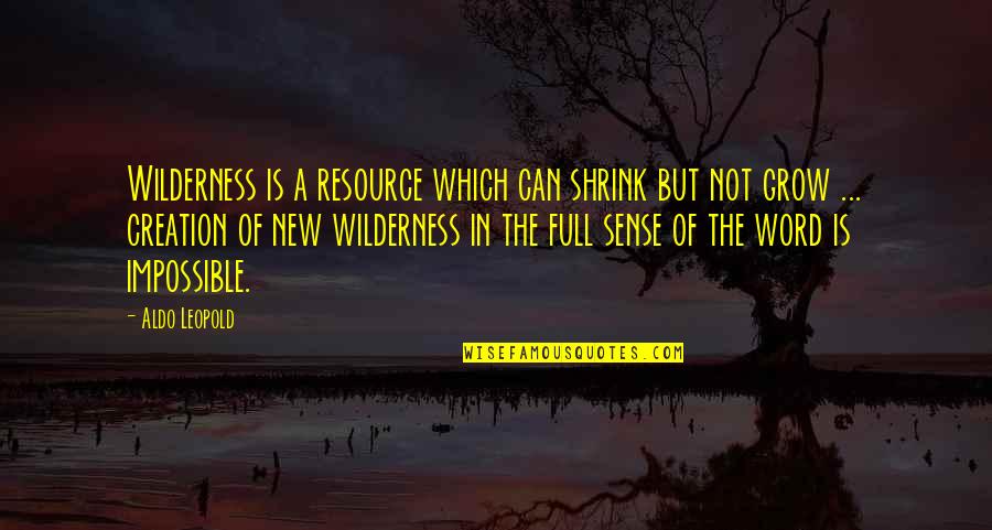 Best Wilderness Quotes By Aldo Leopold: Wilderness is a resource which can shrink but