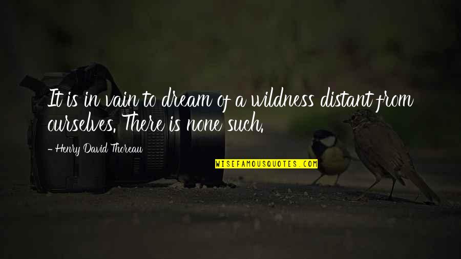 Best Wilderness Quotes By Henry David Thoreau: It is in vain to dream of a