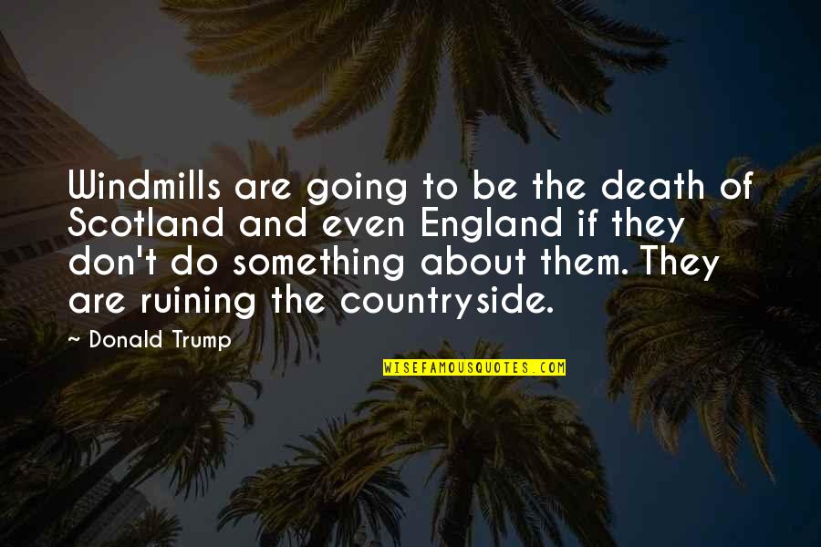 Best Windmills Quotes By Donald Trump: Windmills are going to be the death of