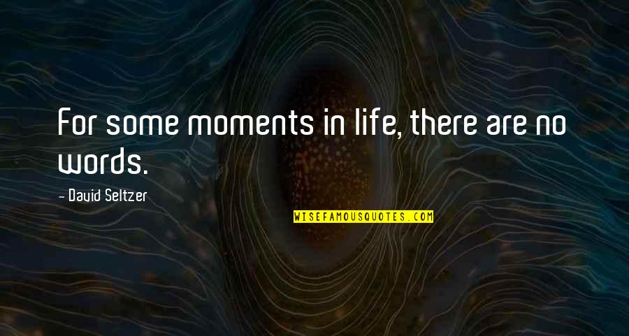 Best Wonka Quotes By David Seltzer: For some moments in life, there are no