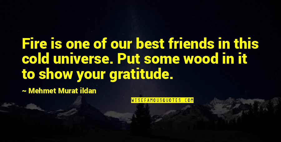 Best Wood Quotes By Mehmet Murat Ildan: Fire is one of our best friends in