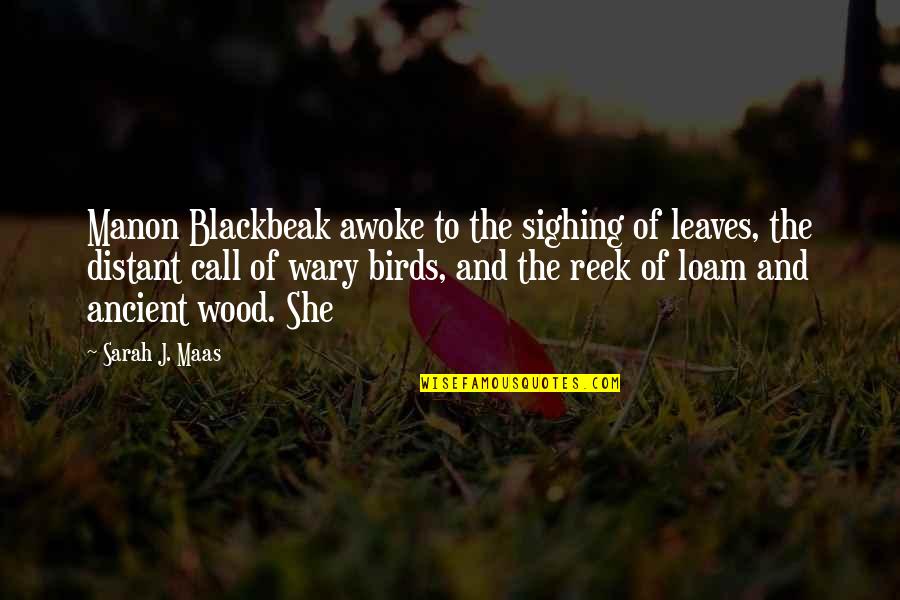 Best Wood Quotes By Sarah J. Maas: Manon Blackbeak awoke to the sighing of leaves,