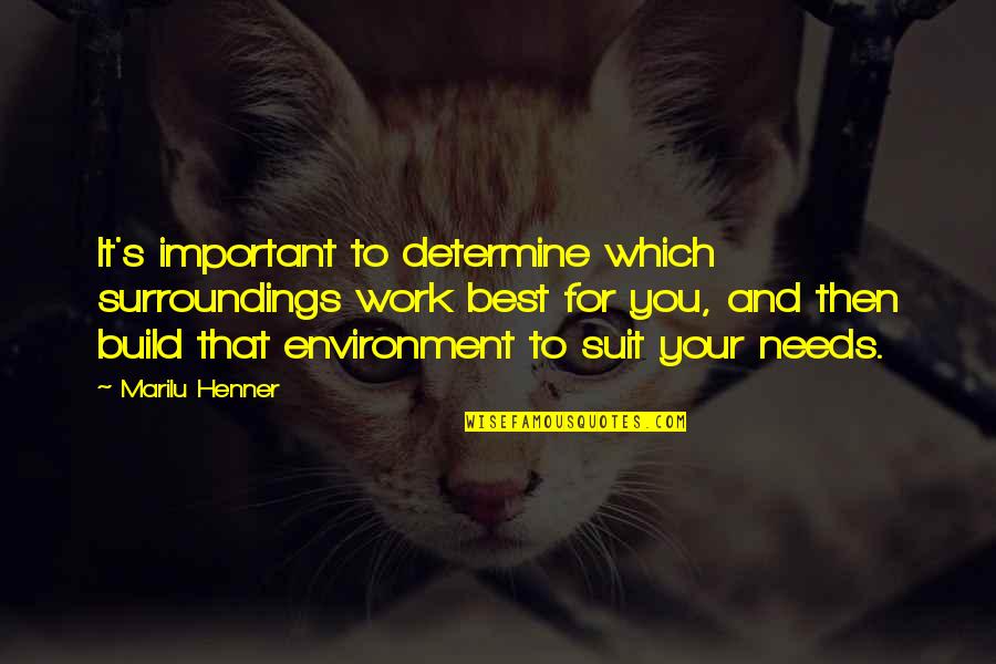 Best Work Environment Quotes By Marilu Henner: It's important to determine which surroundings work best