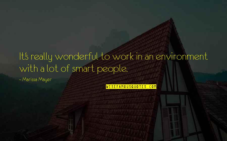 Best Work Environment Quotes By Marissa Mayer: It's really wonderful to work in an environment