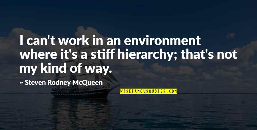 Best Work Environment Quotes By Steven Rodney McQueen: I can't work in an environment where it's