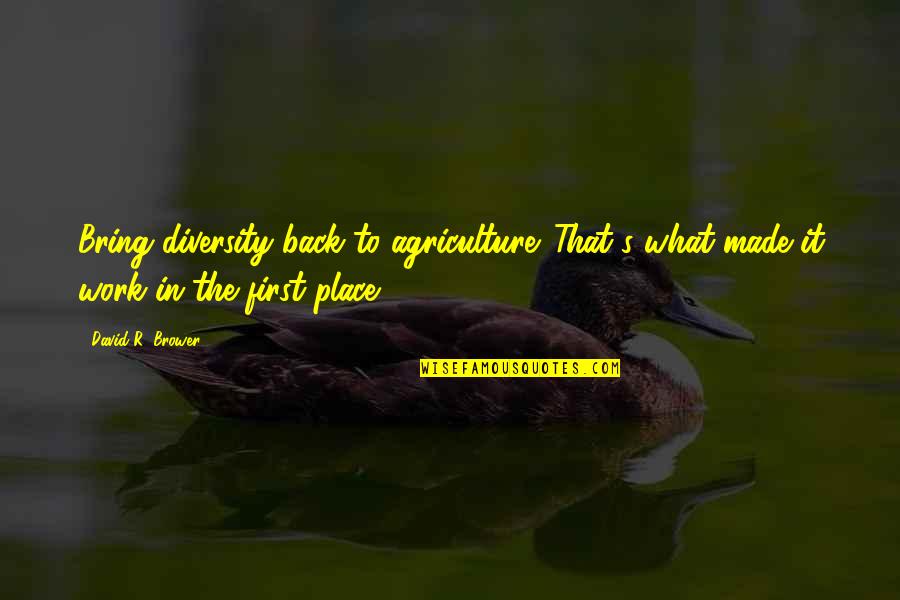 Best Work Place Quotes By David R. Brower: Bring diversity back to agriculture. That's what made