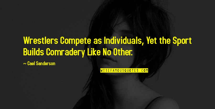 Best Wrestler Quotes By Cael Sanderson: Wrestlers Compete as Individuals, Yet the Sport Builds
