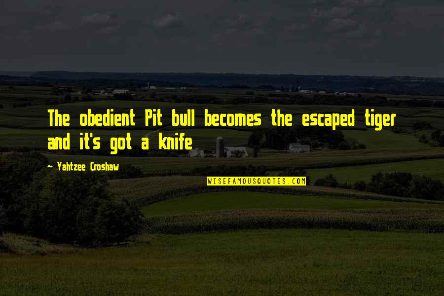 Best Yahtzee Quotes By Yahtzee Croshaw: The obedient Pit bull becomes the escaped tiger Best Yahtzee Quotes By Yahtzee Croshaw: The obedient Pit bull becomes the escaped tiger