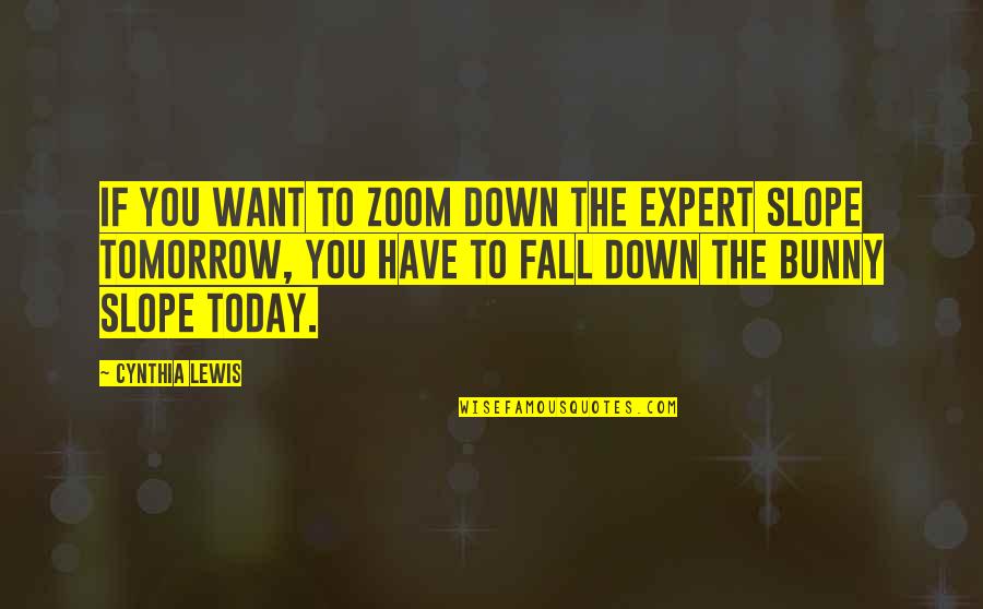 Best Zoom Quotes By Cynthia Lewis: If you want to zoom down the expert