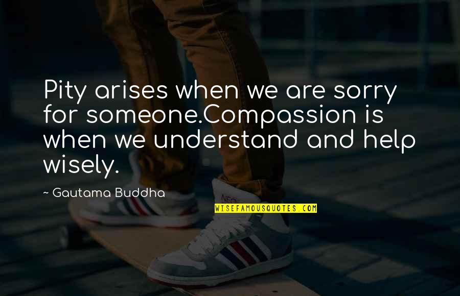 Bestially Quotes By Gautama Buddha: Pity arises when we are sorry for someone.Compassion