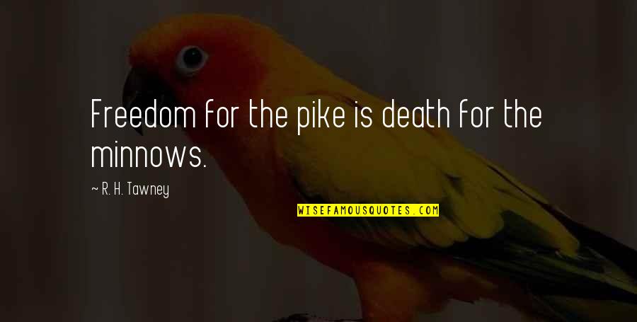 Bestiee To See Quotes By R. H. Tawney: Freedom for the pike is death for the Bestiee To See Quotes By R. H. Tawney: Freedom for the pike is death for the