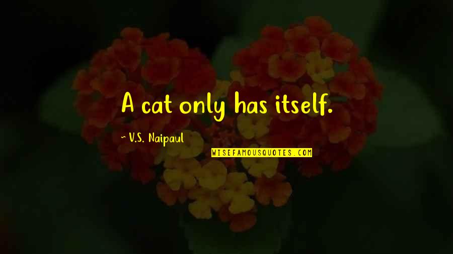 Bestirred Quotes By V.S. Naipaul: A cat only has itself.
