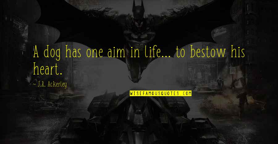 Bestow'd Quotes By J.R. Ackerley: A dog has one aim in life... to