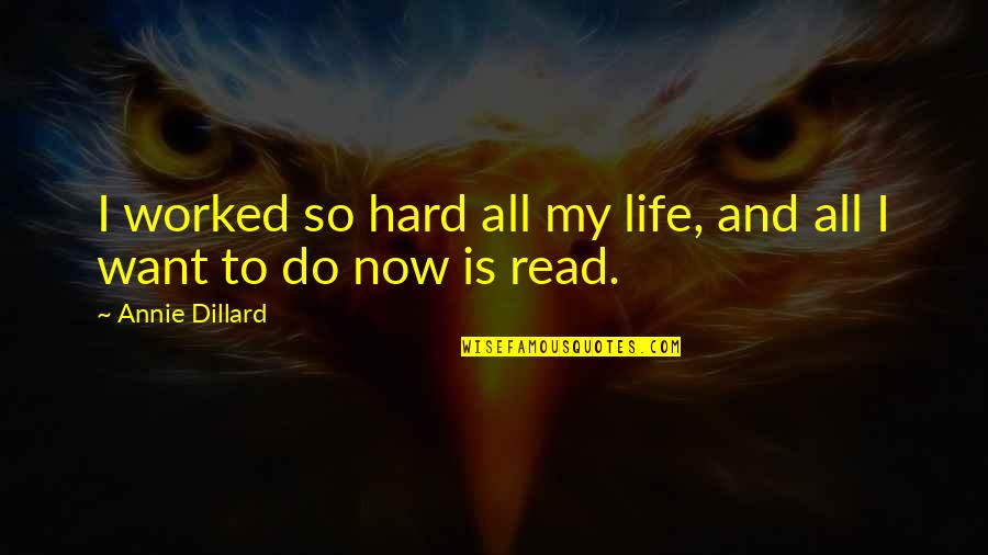 Bestproblem Quotes By Annie Dillard: I worked so hard all my life, and
