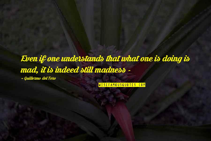 Bestrewardzonemastercards Quotes By Guillermo Del Toro: Even if one understands that what one is