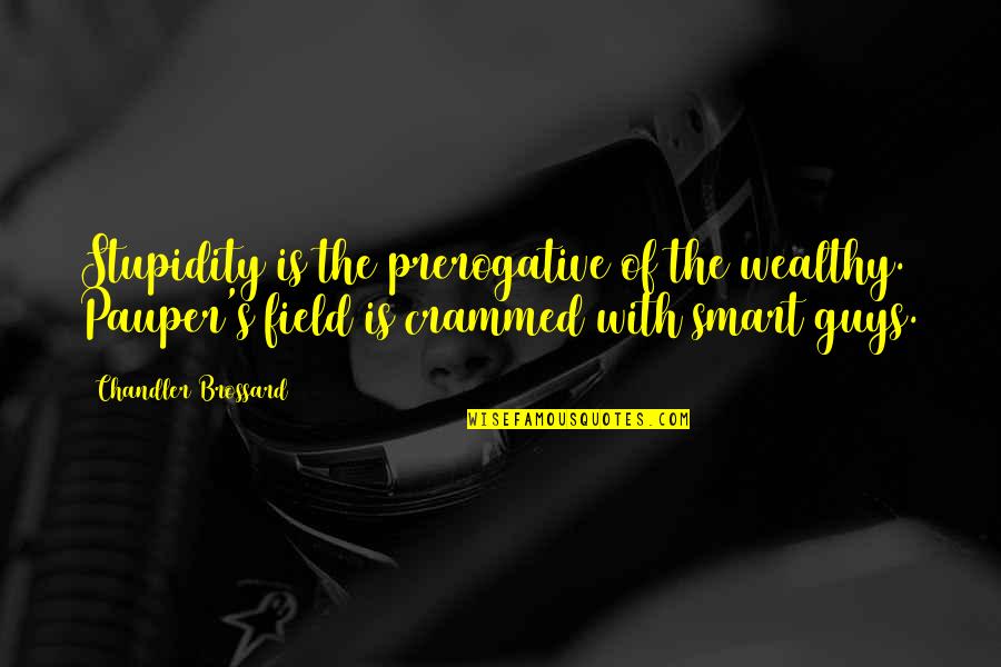 Betesh Name Quotes By Chandler Brossard: Stupidity is the prerogative of the wealthy. Pauper's