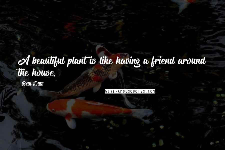 Beth Ditto quotes: A beautiful plant is like having a friend around the house.