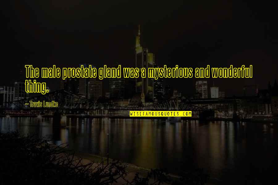 Beth Dutton Sayings Quotes By Travis Luedke: The male prostate gland was a mysterious and Beth Dutton Sayings Quotes By Travis Luedke: The male prostate gland was a mysterious and