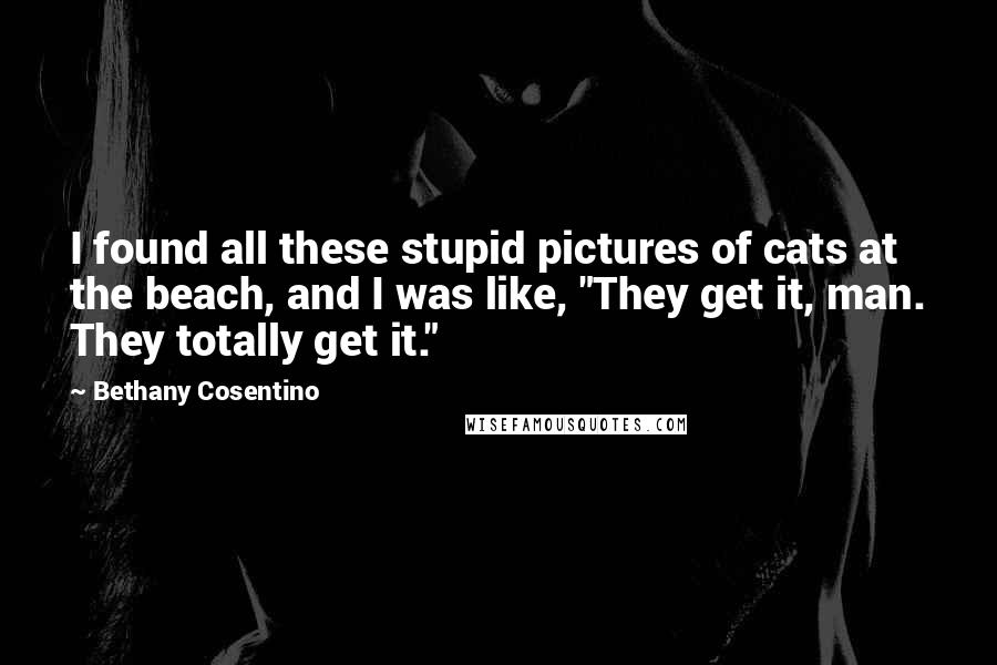 Bethany Cosentino quotes: I found all these stupid pictures of cats at the beach, and I was like, "They get it, man. They totally get it." Bethany Cosentino quotes: I found all these stupid pictures of cats at the beach, and I was like, "They get it, man. They totally get it."