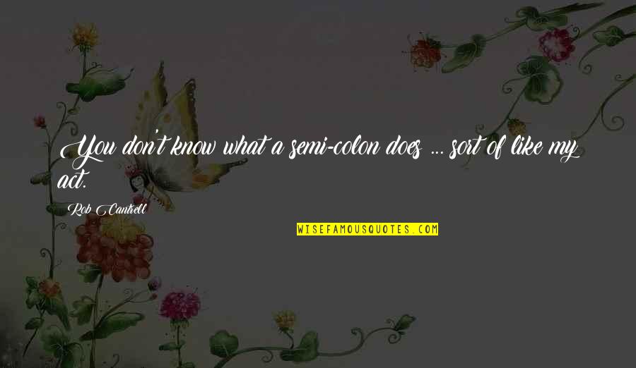 Bethie Loewenthal Quotes By Rob Cantrell: You don't know what a semi-colon does ...