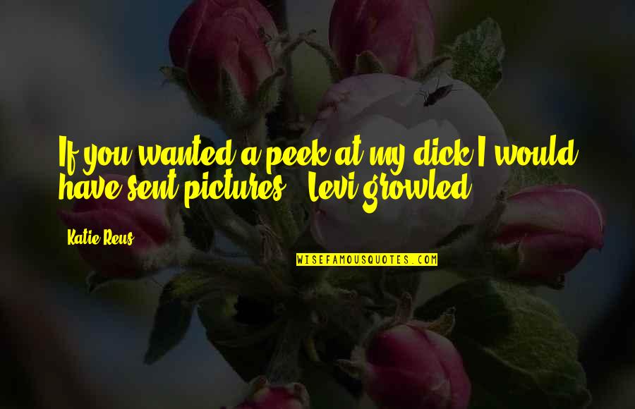 Beti Rukhsati Quotes By Katie Reus: If you wanted a peek at my dick
