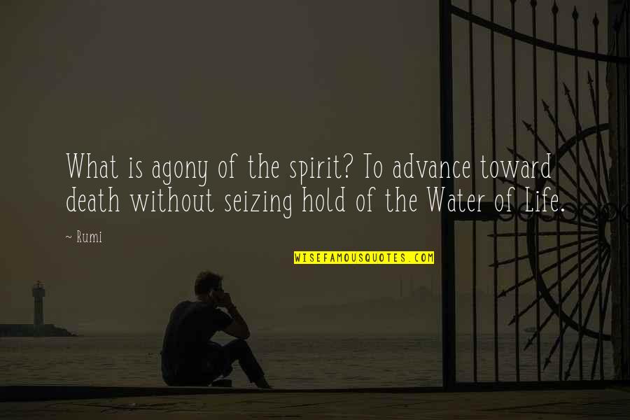 Betschwanden Quotes By Rumi: What is agony of the spirit? To advance