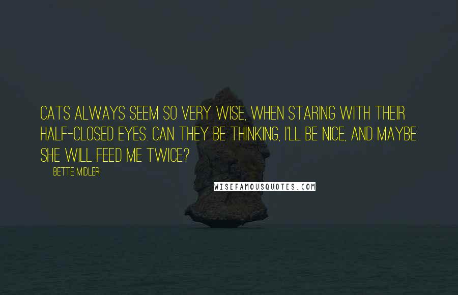 Bette Midler quotes: Cats always seem so very wise, when staring with their half-closed eyes. Can they be thinking, I'll be nice, and maybe she will feed me twice?