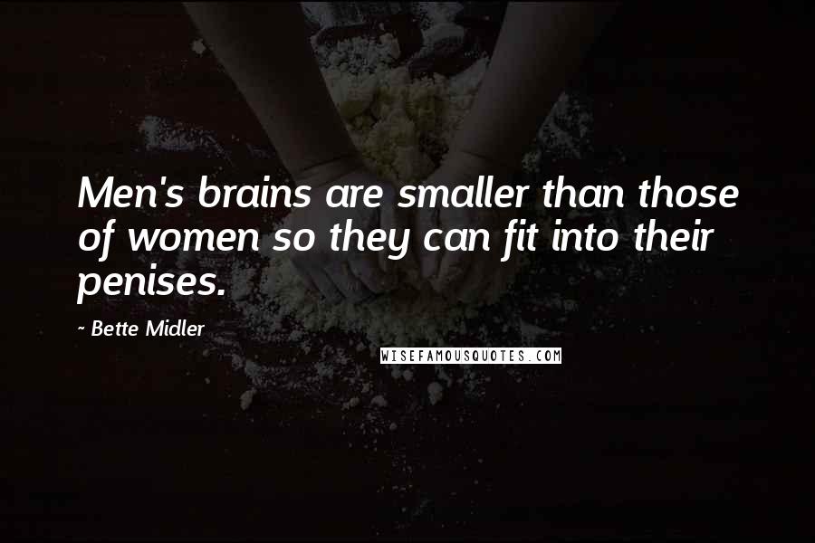 Bette Midler quotes: Men's brains are smaller than those of women so they can fit into their penises.